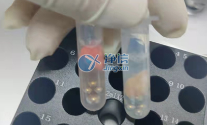 小型行星球磨機助力浙江工業(yè)大學完成小鼠組織研磨實驗
